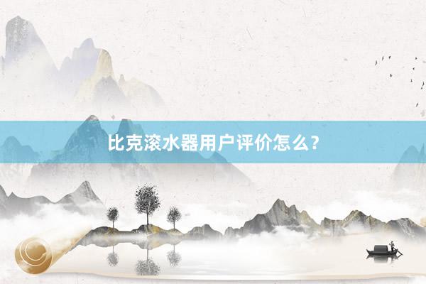 比克滚水器用户评价怎么？